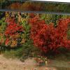 1:64 Scale Lakeside Riverside Backdrop Board with Display Case DIY Creative view 3