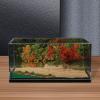 1:64 Scale Lakeside Riverside Backdrop Board with Display Case DIY Creative view 4