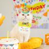 AgoumLux Cat Birthday Party Supplies, Girl Boy Cat Kitten Birthday Bandana Hat Numbers Decorations Outfits Set, Yellow view 2