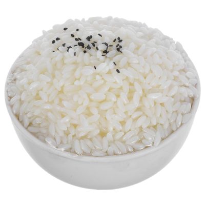 BESPORTBLE Realistic Simulated Rice for Photography Props Artificial Cooked Rice Decor Simulation Food