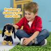 Bizak Animagic Waggles 64559091 Interactive Plush Toy, from 2 Years, Cute and Funny Dachshund, Very Soft, Walks, Barks and Wiggling its Tail view 3