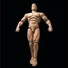 1/12 Scale Male Action Figure, Strong Muscle Man Figure Body 6 inches Flexible Male Aciton Figure Model with Detachable Various Accessories, 1/12 Fitness Bodybuilding Action Figure Model Doll view 3