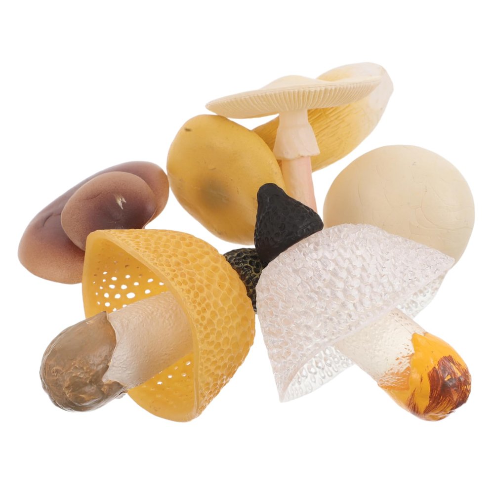 BCOATH 6pcs Fake Mushroom Models: Realistic Artificial Food Props Simulation Vegetables Statues for Early Education Photography Fairy Garden Outdoor Decor