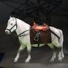 1/12 Scale Realistic Horse Figurines for Action Figures, Ideal Diorama Addition, White view 4