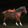 1/12 Scale Realistic Horse Figurines for Action Figures, Ideal Diorama Addition, Brown view 4