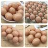 COSMEVIVI 20pcs Fake Chicken Eggs for DIY Painting Smooth Material Simulation Eggs for Creative Crafts and Unique Decorations for Graffiti and Easter Decor view 2