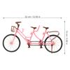 SUPVOX Two-Seater Doll Bike Accessories Miniature Toy Bicycle Model with Pedals for Kids Indoor Outdoor Play and Desktop Decoration view 2
