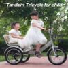 3 Wheels Bicycle,Rickshaw Tricycle with Pedals,Tandem Trike with Back seat,seat with Belt and armrest,Front and Rear Wheel Brakes,Outdoor Cruiser Bike,Pneumatic tire Spoke Wheels view 2