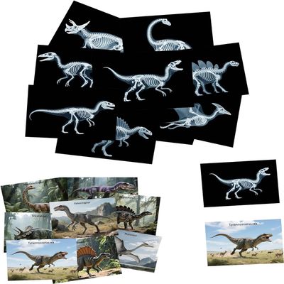 16 Animal X-Ray Set, Educational Science Kit for Kids to Explore Bone Structures for Lightstand Accessories, Light and Shadow Areas (Dinosaur Series)