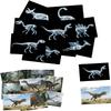 16 Animal X-Ray Set, Educational Science Kit for Kids to Explore Bone Structures for Lightstand Accessories, Light and Shadow Areas (Dinosaur Series) view 1