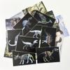 16 Animal X-Ray Set, Educational Science Kit for Kids to Explore Bone Structures for Lightstand Accessories, Light and Shadow Areas (Dinosaur Series) view 2