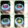 EUKVYQPX Kid's Nature Exploration Set - Nature Collector, Outdoor Insect, Plant and gem Collector view 2