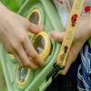 EUKVYQPX Kid's Nature Exploration Set - Nature Collector, Outdoor Insect, Plant and gem Collector view 4