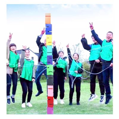 GMSDHCY Team Building Team Building Tower Games for Adults Work, Outdoor Activities School Classrooms Corporate Training Fun Games(Blue,10PCS)