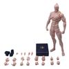 1/12 Scale Male Action Figure,6inch Super Flexible Muscular Strong Male Figure Miniature Figure Body Doll Collection (Yellow Skin) view 1