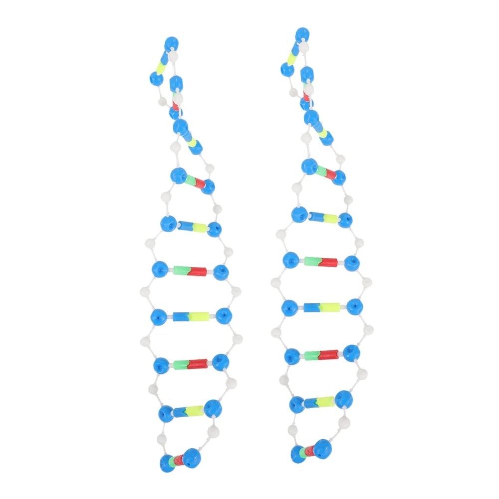 Abaodam 2pcs DNA Double Helix Structure Model Kit Educational Teaching Tool for Biology Science Components for DNA Assembly for High School University Classes