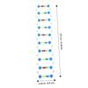 Abaodam 2pcs DNA Double Helix Structure Model Kit Educational Teaching Tool for Biology Science Components for DNA Assembly for High School University Classes view 2