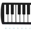 SUNGOOYUE 49 Keys Hand Roll Electronic Piano, Rolled Keyboard Piano with Speaker for Daily Entertainment and Travel view 3