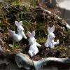 Cartoon Figurines,Handmade Easter Bunnies Figurines Set of 3Pcs Resin Rabbits Statues for Spring Home Decoration and Holiday view 3