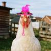 12 Pcs Chicken Hats Mini Feather Top Chicken Helmet Halloween Accessories Funny Small Tiny Pet Hat Adjustable Chin Strap Show Costume for Rooster Duck Hamster Parrot Bird Poultry Snake Decoration view 3