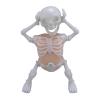 Alomejor Skeleton Figurine, Glow in The Dark Fun Dancing Toy with Sound for Boys Kids Captivating Dance Moves view 1