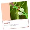 Hohopeti 12Pcs Kids Insect Scissor Catchers Outdoor Bug Catching Tools Practical Clamps for Nature Exploration Toys view 4