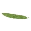Cabilock Lifelike Simulation Bitter Gourd Fake Plant for Decor Gourd Ornament Artificial Vegetable Model view 1