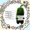 Funny Pickle Crochet Gift with "Behind You All Your Memories" Card, Emotional Support Pickle Plush, Cute Memorial Gift for Women Wife Girlfriend Sister, Birthday Valentine Graduation Keepsake view 2