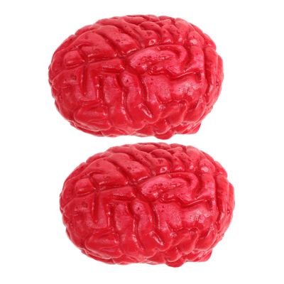 Abaodam 2Pcs Fake Human Brains Halloween Props Scary Simulation Brains for Spooky Gory Body Organ Accessories for and Prank