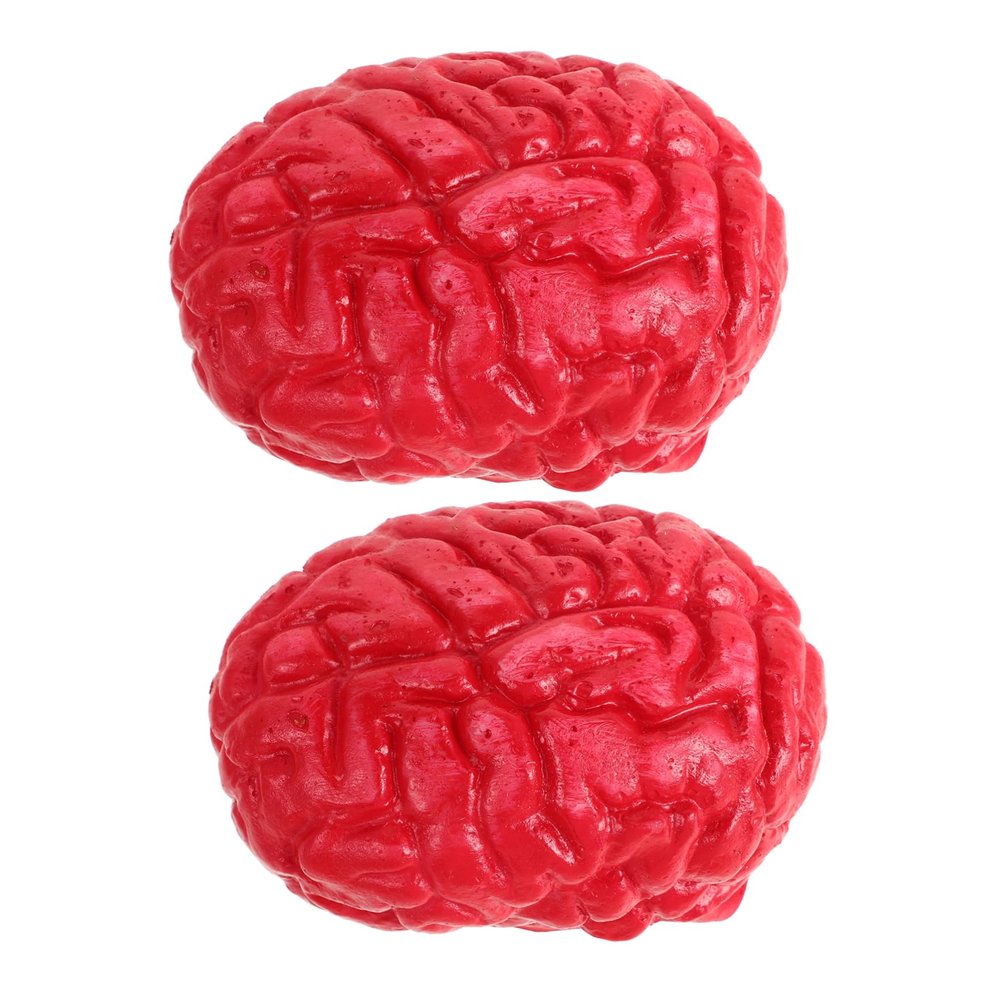Abaodam 2Pcs Fake Human Brains Halloween Props Scary Simulation Brains for Spooky Gory Body Organ Accessories for and Prank