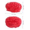 Abaodam 2Pcs Fake Human Brains Halloween Props Scary Simulation Brains for Spooky Gory Body Organ Accessories for and Prank view 2