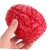 Abaodam 2Pcs Fake Human Brains Halloween Props Scary Simulation Brains for Spooky Gory Body Organ Accessories for and Prank view 3