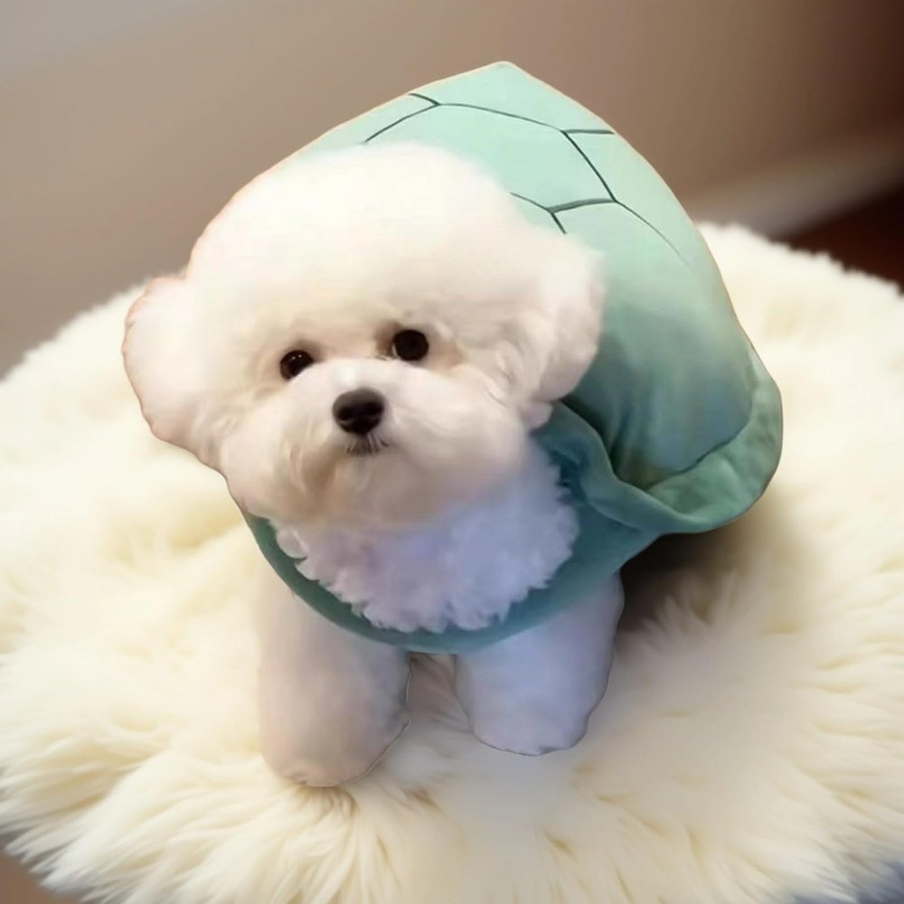 Layheld Cute Pet Outfits Plush Turtle Shell Outfit Cosplay Party Wear Photoshoot Pet Outfit Multiple Sizes for Cat Small Dog (Medium)