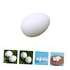 Abaodam 28Pcs Fake Pigeon Eggs Durable Plastic Incubation Eggs for Pigeon Breeding Lightweight and Realistic Imitation Eggs for Easy Use and Storage for Hatching Induction view 4
