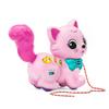 VTech Sing and Stroll Kitty view 4