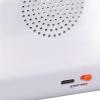 FUZHUI AI Smart Clock with Voice Time Manager Multifunction Translation Device for Early Education and Study view 4