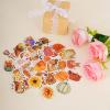 100PCS Fall Stickers Cute Autumn-Themed Stickers Thanksgiving Decorations for Adults and Teens Suit for Water Bottles Laptops Scrapbooks Cards view 4