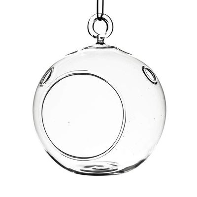 7 in. Clear Round Hanging Terrarium Globe