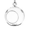 6 in. Clear Round Hanging Terrarium Globe Set of 2 view 1