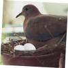 COLLBATH 30Pcs Simulation Pigeon Eggs Induced Fake Eggs for Hatching Realistic Water Injection Design Convenient Breeding Tools view 4