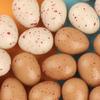 CHICAMPERA 20pcs Lifelike Faux Chicken Eggs Toy Eggs Easter Decor Shape Holders for Home view 4