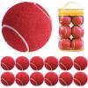 Fopytu Tennis Balls, 12 Pcs Training Tennis Balls, High Elasticity Practice Tennis Balls for Beginner Training, Exercise Playing Balls for Pet Dog view 1