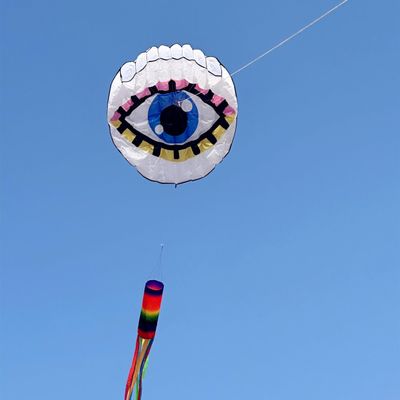 60 inch Eye Giant Kite for Adults, Easy to Fly Soft Large Kite Suitable for Beaches, Parks, and Outdoor Entertainment