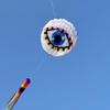 60 inch Eye Giant Kite for Adults, Easy to Fly Soft Large Kite Suitable for Beaches, Parks, and Outdoor Entertainment view 3
