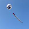 60 inch Eye Giant Kite for Adults, Easy to Fly Soft Large Kite Suitable for Beaches, Parks, and Outdoor Entertainment view 4