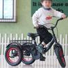 3 Wheels Bicycle with Pneumatic Rubber tire Spoke Wheel,Rickshaw Tricycle with Pedals,Single Brake,Saddle Handlebar Height Adjustable,Cruiser Trike with Large Basket view 3