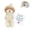 AGWIM Tiny Bear in a Box, Handmade Mini Plush Teddy Bear, My Little Worry Bears with Hat and Support Card, Stuffed Get a Hug Pocket Teddy Keepsake for Lovers (White) view 1
