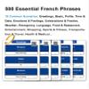 501 Common French Phrases Flash Cards view 2