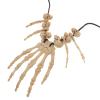 Skull Necklace: Skeleton Necklace, Bone Jewelry for Halloween Decoration, Cosplay Fancy Party Jewelry view 1