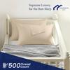 100% Egyptian Cotton Youth Pillowcase, 500 Thread Count Pack of 2, Zippered Travel Pillows case Super Soft and Breathable Youth Pillow Protector 16x22 Inches, Beige Striped view 2